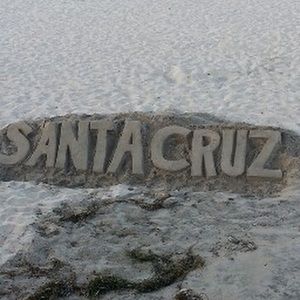 Meet your Posher, Donnie